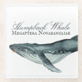 Wasserfarben-Humpback-Wal, Megaptera Novaeangliae Glasuntersetzer (Vorderseite)