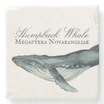 Wasserfarben-Humpback-Wal, Megaptera Novaeangliae