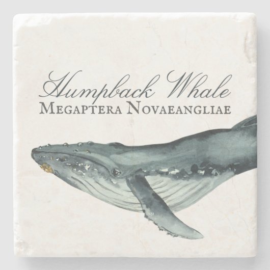 Wasserfarben-Humpback-Wal, Megaptera Novaeangliae Steinuntersetzer (Vorderseite)