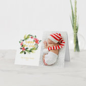 Wasserfarben-Kiefer und Heiligkraut-Foto (Vorderseite)