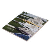 Wasserfarben-Lacrosse-Sticks Fliese (Seite)