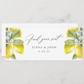 Wasserfarben-Lemon-Blossom-Zeichen für Seekarten (Vorne/Hinten)