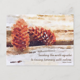 Wasserfarben Pinecones - Angebot Postkarte