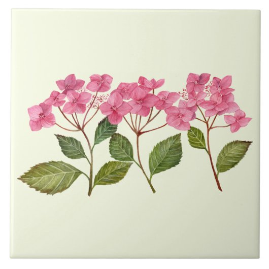 Wasserfarben-Rosa-Hydrangea Lacecaps-Muster Fliese (Vorderseite)