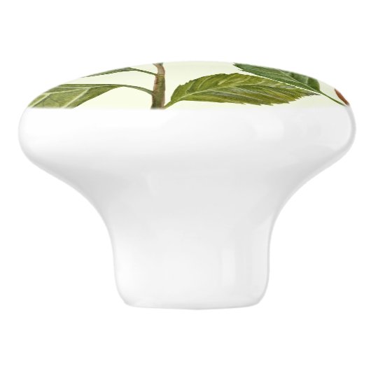 Wasserfarben-Rosa-Hydrangea Lacecaps-Muster Keramikknauf (Seitenansicht)