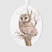 Wasserfarben Sau Whet Owl Bird Art Ornament (Vorderseite)