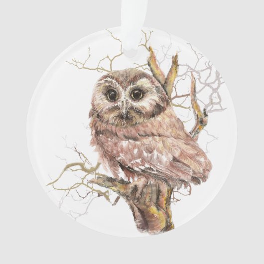 Wasserfarben Sau Whet Owl Bird Art Ornament (Vorderseite)