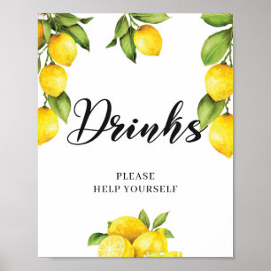 Wasserfarben Sommerfrüchte Zitronengetränke Zeiche Poster