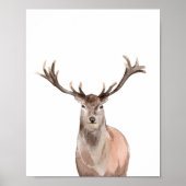 Wasserfarben Woodland Animal Boys Girls Zimmerdeko Poster (Vorne)