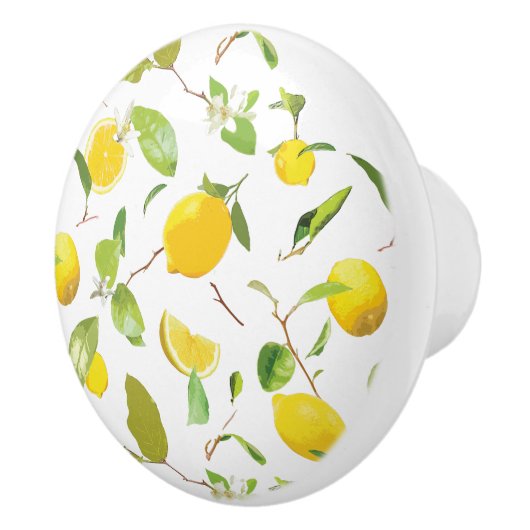 Wasserfarben-Zitrone und Blätter 2 Keramikknauf (Rechts)