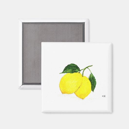 Wasserfarben Zitronen Früchte Küchendekor chisch r Magnet (Vorderseite/Rückseite)