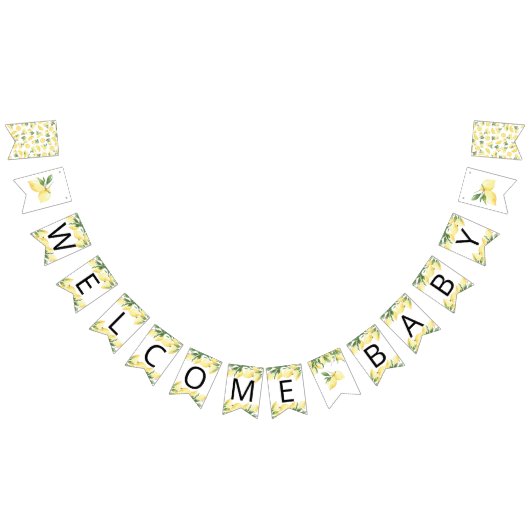 Wasserfarben Zitrusfrüchte Babydusche Jagdfahnen Wimpelkette (Alle)