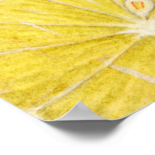 Wasserfarben Zitrusfrüchte Brautparty Brunch Arch Poster (Ecke)