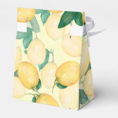 Wasserfarben-Zitrusfrüchte Geschenkschachtel (Rückseite)