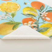 Wasserfarben-Zitrusfrüchte: Handgezogene Früchte Sherpadecke (3/4)