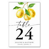 Wasserfarben-Zitrusfrüchte Tischnummer (Rückseite)
