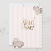 Wasserfarbenballettschuhe gestreift Geburtstag Einladung (Rückseite)