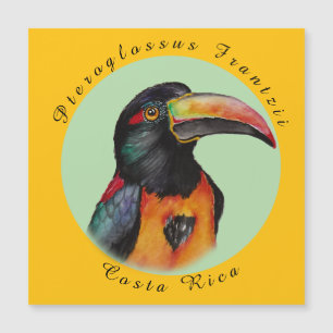 Wasserfarbenberührer Magnetkarte