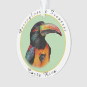 Wasserfarbenberührer Ornament (Vorderseite)