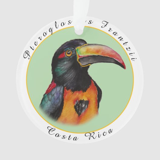 Wasserfarbenberührer Ornament (Vorderseite)