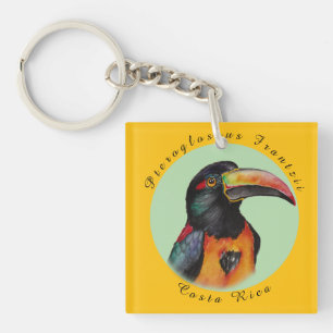 Wasserfarbenberührer Schlüsselanhänger