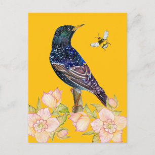 Wasserfarbenbild des Europäischen Stars Postkarte