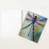 Wasserfarbendrachenfliege, Planer (Anzeige)