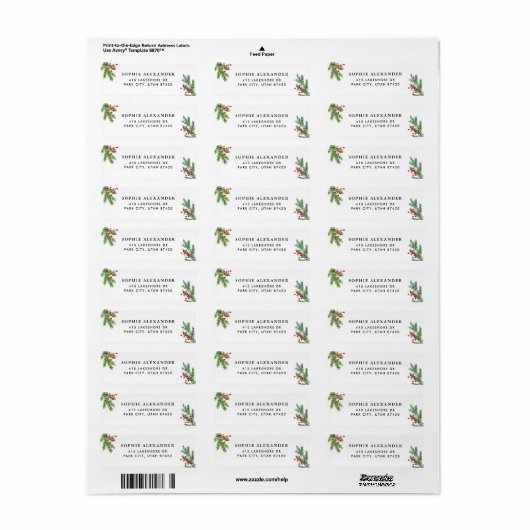 Wasserfarbene Pine-Injektionsnadeln und Holliday-A (Vorne)