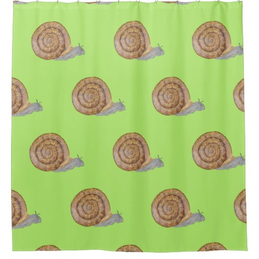 Wasserfarbene Schnecke Duschvorhang (Vorderseite)