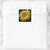 Wasserfarbene Sonnenblume Quadratischer Aufkleber (Tasche)