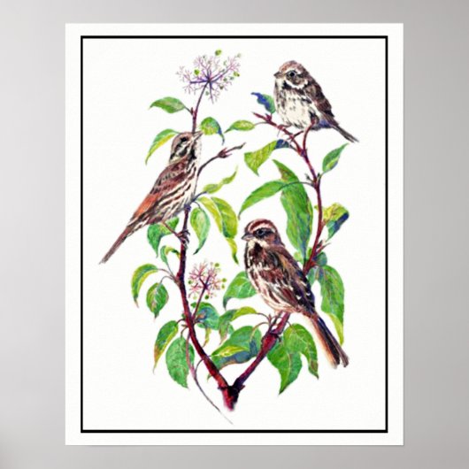 Wasserfarbene Sparrow Vögel auf dem Dogwood Art Poster (Vorne)