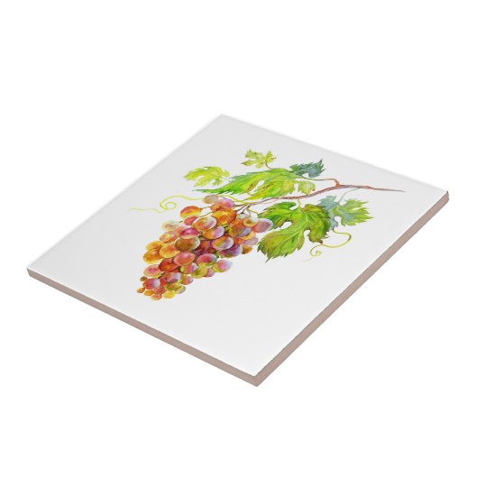 Wasserfarbene Trauben. Art Tile Fliese (Seite)
