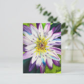 Wasserfarbene Wasserlilie schöne Kunst Postkarte (Stehend Vorderseite)