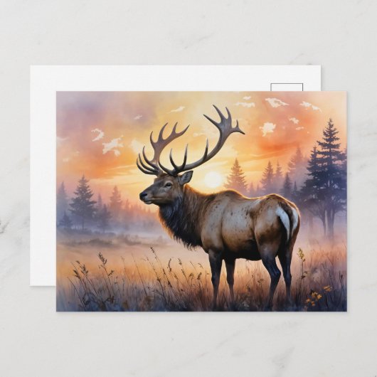 WasserfarbenElch bei Sonnenaufgang Postkarte (Vorne/Hinten)