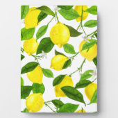 Wasserfarbenemon Fotoplatte (Vorderseite)