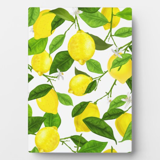 Wasserfarbenemon Fotoplatte (Vorderseite)