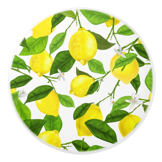 Wasserfarbenemon Keramikknauf (Vorderseite)