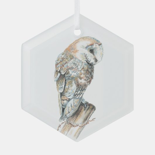 Wasserfarbener Barn Bwl Vogel Natur Ornament Aus Glas (Vorderseite)
