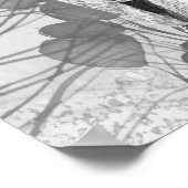 Wasserfarbener Barn Bwl Vogel Natur Poster (Ecke)