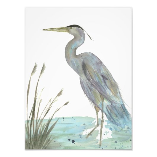 Wasserfarbener Heron im Marsch Fotodruck (Vorne)