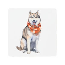 Wasserfarbener Niedlicher sibirischer Husky-Hund