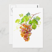 Wasserfarbener Traubenstrauch. Postkarte Art (Vorne/Hinten)