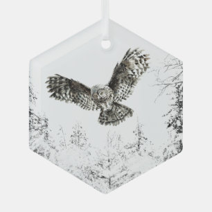 Wasserfarbener Vogel Vögel Natur Kunst, Dichtung u Ornament Aus Glas