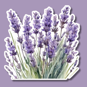 Wasserfarbener Wilder Lavendel Wasserdicht Aufkleber
