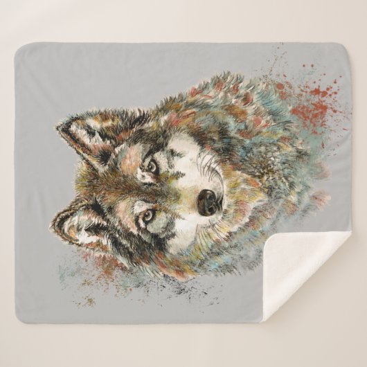 Wasserfarbener Wolf Wildtiere Art: Sherpadecke (Vorderseite (Horizontal))