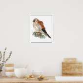 Wasserfarbenfalken, Sparrow Falken, Falken, Vögel Poster (Küche)