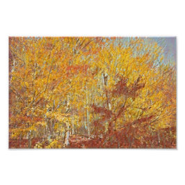 Wasserfarbenfallen Fotodruck