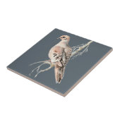 Wasserfarbenfrohe Urwald Taubenvögel Naturkunst Fliese (Seite)