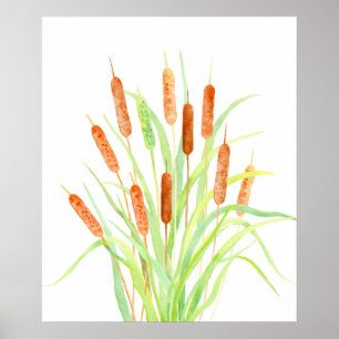 Wasserfarbengeflecht (Typha), Samen, Samen Poster