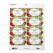 Wasserfarbenkennzeichnung des Gemüsebetriebs (Vorne)